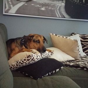 Meet your Posher, Greg